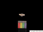 L_V23d1089 J1q507.1 Ux04 dM f163